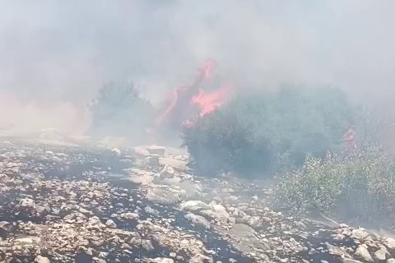 Adıyaman'da dağlık bölgede çıkan yangın söndürüldü Adıyaman'da dağlık bölgede çıkan yangın söndürüldü