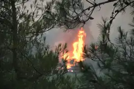 Li sînora Bûrsa-Balikesîrê şewata daristanê: 2 gund hatin valakirin, 2 binçavkirin