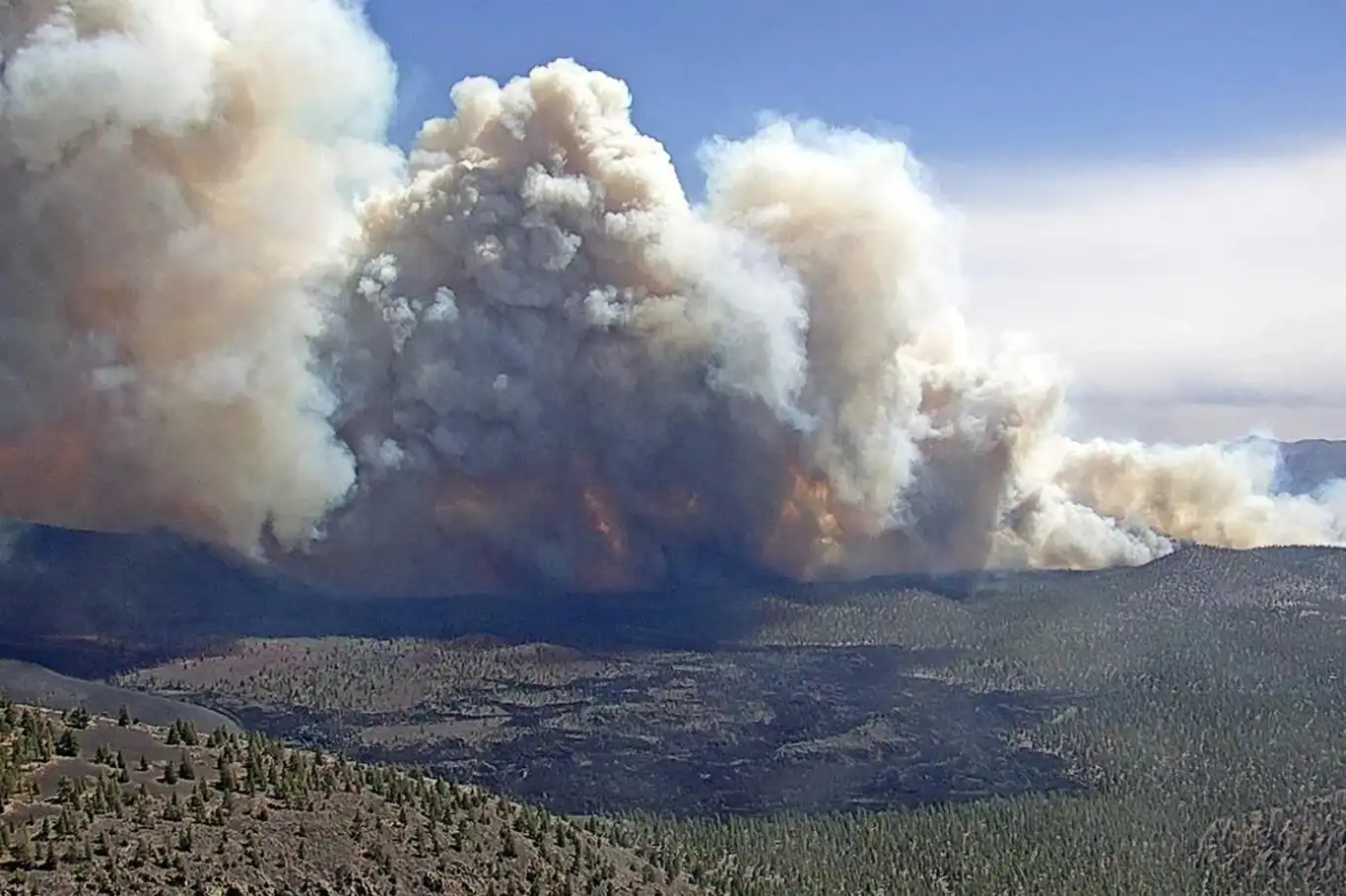 Wildfire crisis grips Arizona: Grand Canyon evacuated amid 24,000-acre blaze Wildfire crisis grips Arizona: Grand Canyon evacuated amid 24,000-acre blaze