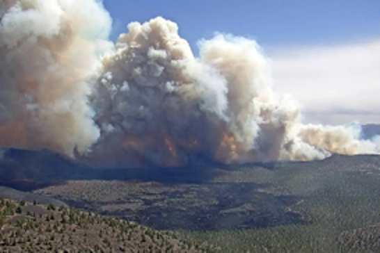 Wildfire crisis grips Arizona: Grand Canyon evacuated amid 24,000-acre blaze