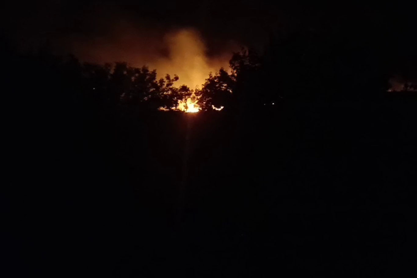 Malatya'da korkutan yangın Malatya'da korkutan yangın