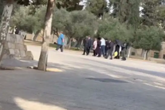 سەهیۆنییەکانی داگیرکەر هەڵکوتانە سەر مزگەوتی ئەقسا