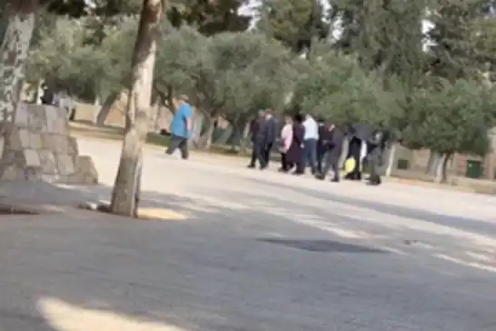المستوطنون الصهاينة يقتحمون باحات المسجد الأقصى بحماية قوات الاحتلال
