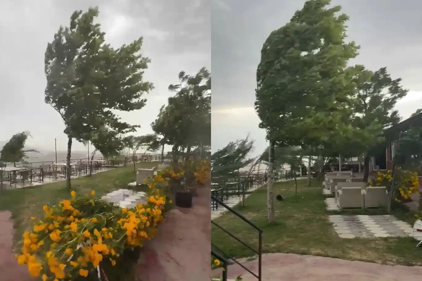Palu'da fırtına etkili oldu Palu'da fırtına etkili oldu