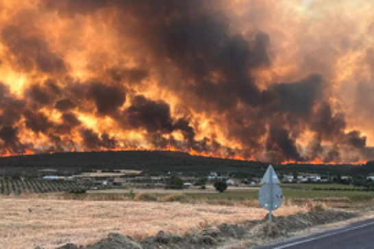 Evacuations underway as wildfires tear through northwestern Türkiye
