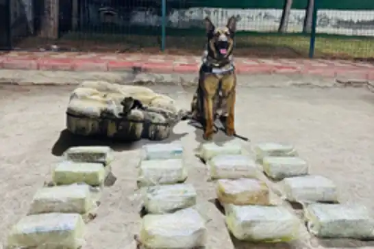 Batman'da 20 kilo toz esrar ele geçirildi