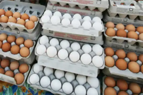 Yumurtalarda “Tüketim Tarihi” zorunlu hale geldi