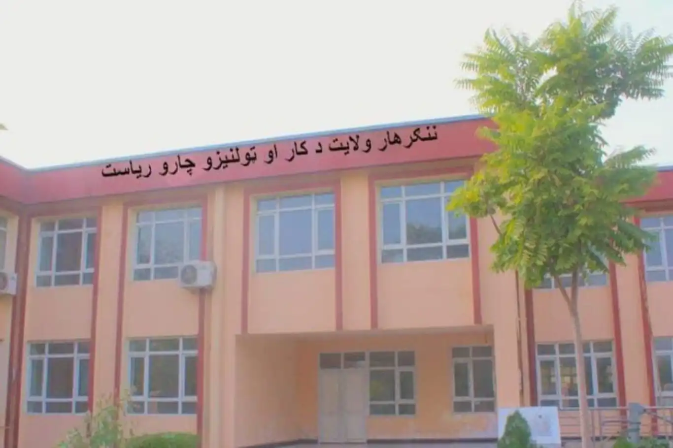 Afghan children rescued from streets enrolled in schools in Nangarhar