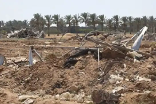 منظمة الأغذية والزراعة في الأمم المتحدة: "الزراعة في غزة شبه مدمرة بالكامل"