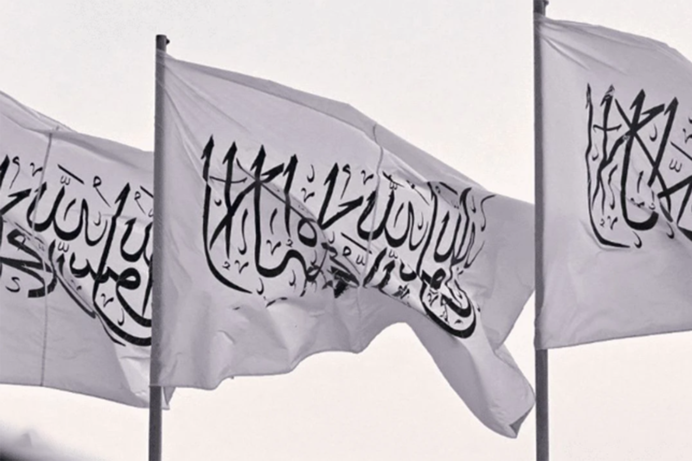 Islamic Emirate cals for immediate global action against Israeli genocide in Gaza Islamic Emirate cals for immediate global action against Israeli genocide in Gaza