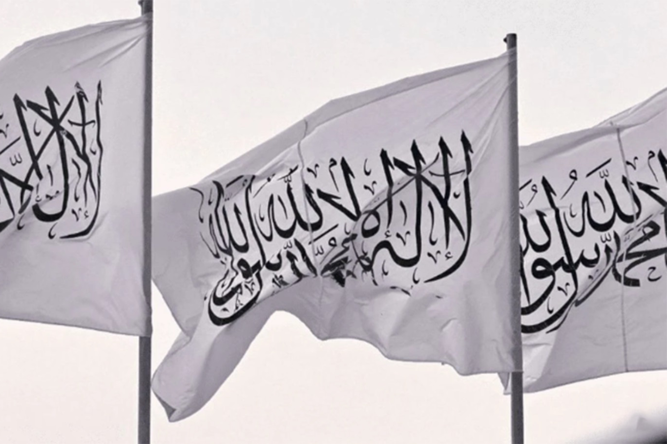 کاردانەوەی ئیمارەتی ئیسلامی ئەفغانستان بەرامبەر بە برسێتی و کۆمەڵکوژییەکانی غەززە کاردانەوەی ئیمارەتی ئیسلامی ئەفغانستان بەرامبەر بە برسێتی و کۆمەڵکوژییەکانی غەززە
