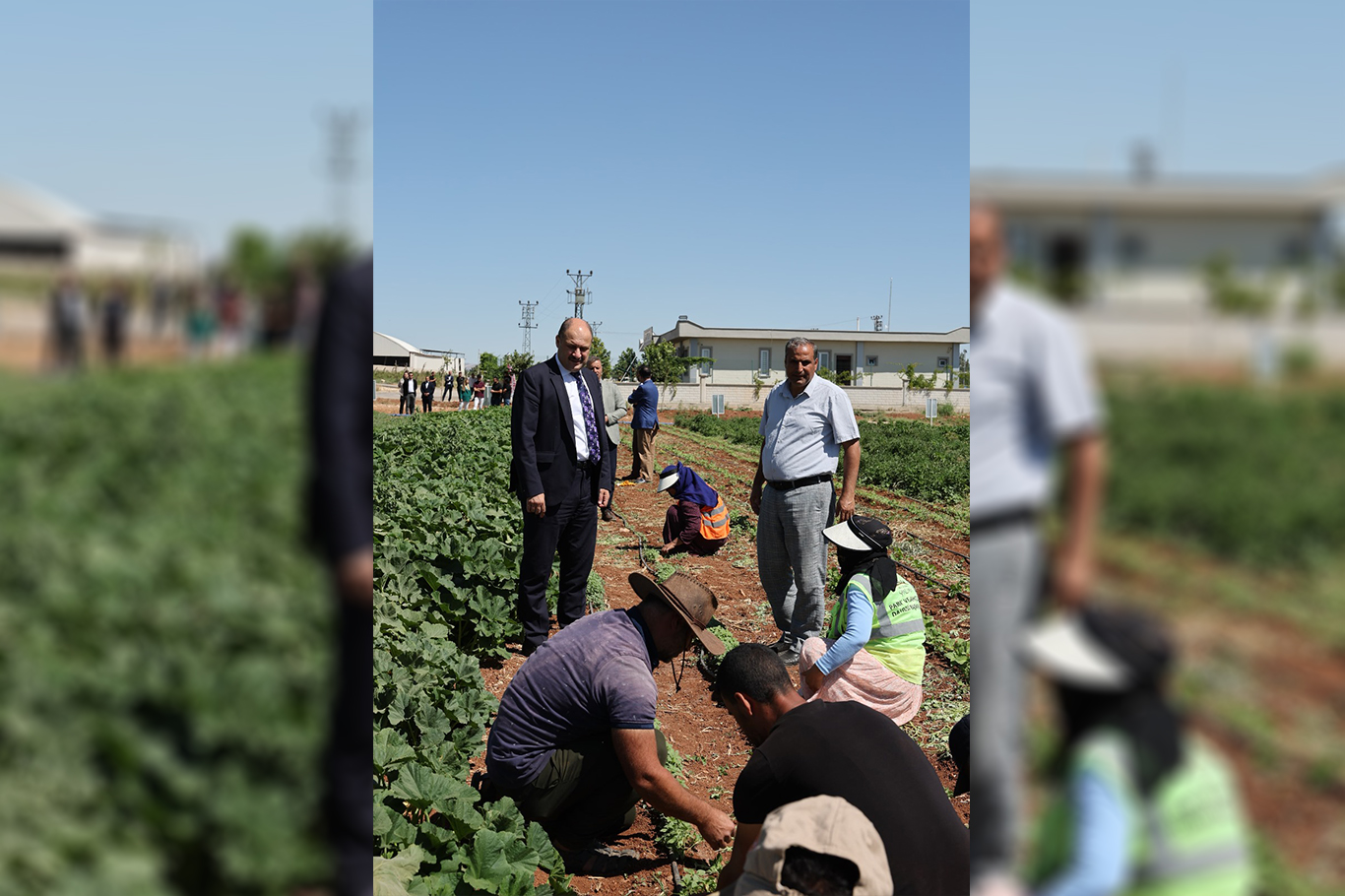 Şanlıurfa’da ata tohumları toprakla buluşuyor Şanlıurfa’da ata tohumları toprakla buluşuyor