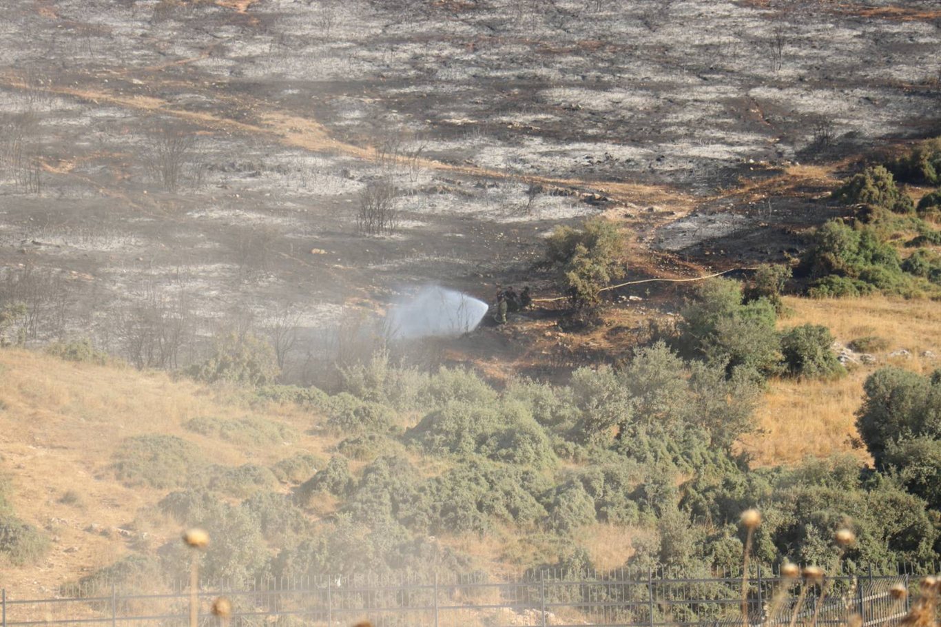 İstanbul'da arazi yangını İstanbul'da arazi yangını