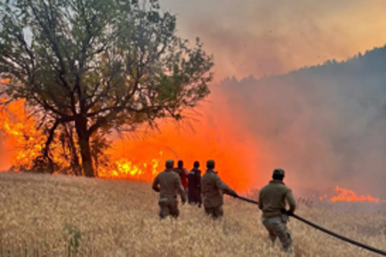 Türkiye detains 23 suspects in connection with 61 forest fires