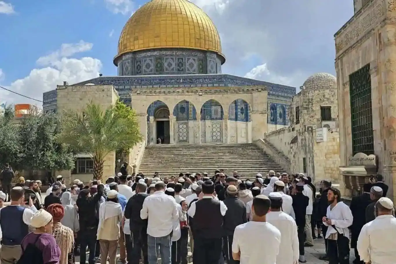 مستوطنون يقتحمون المسجد الأقصى مجددًا تحت حماية شرطة الاحتلال مستوطنون يقتحمون المسجد الأقصى مجددًا تحت حماية شرطة الاحتلال