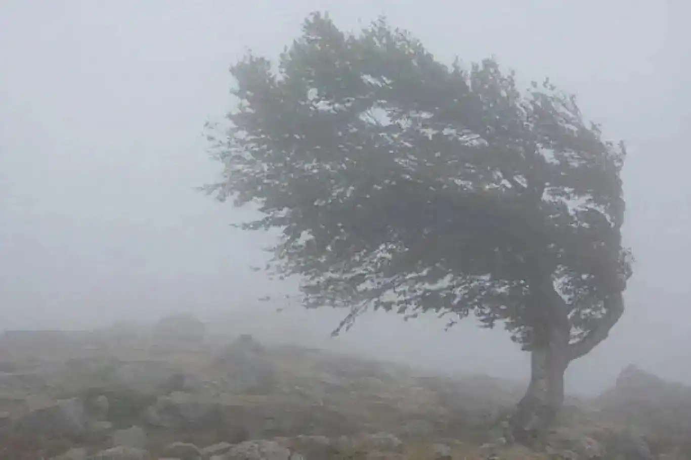 Meteoroloji uyardı: Güneydoğu'da kuvvetli rüzgar Meteoroloji uyardı: Güneydoğu'da kuvvetli rüzgar