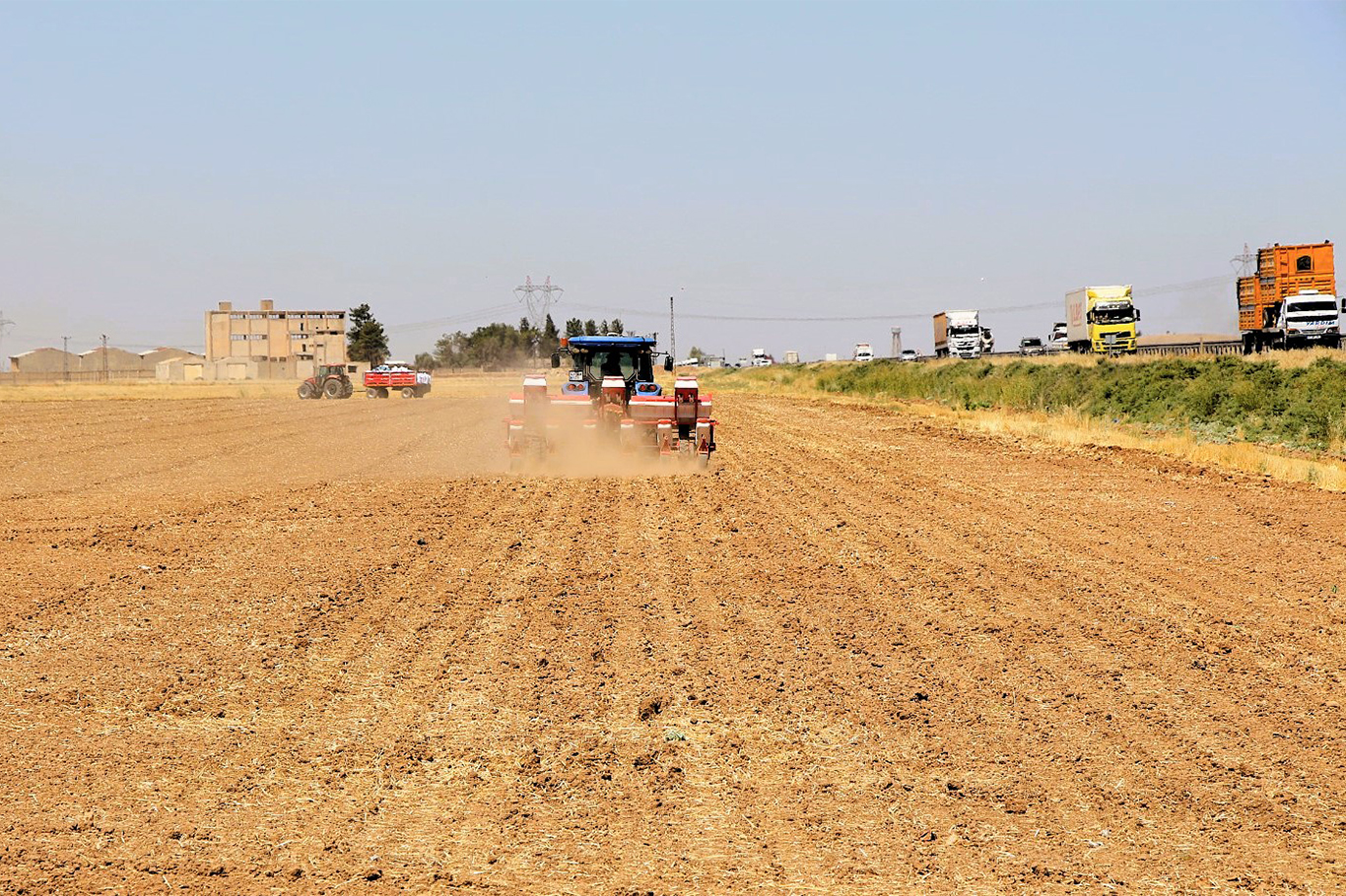 Dicle Elektrik: Yasaklamaya rağmen mısır ekimi su ve enerji kaynaklarında sorunlara yol açıyor Dicle Elektrik: Yasaklamaya rağmen mısır ekimi su ve enerji kaynaklarında sorunlara yol açıyor