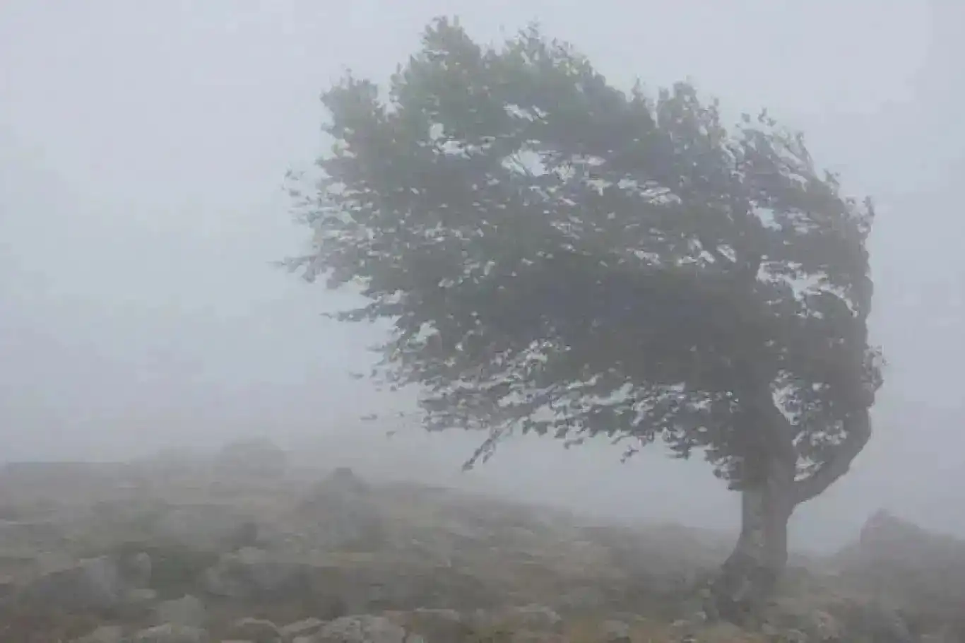 Meteorolojiden kuvvetli rüzgâr uyarısı