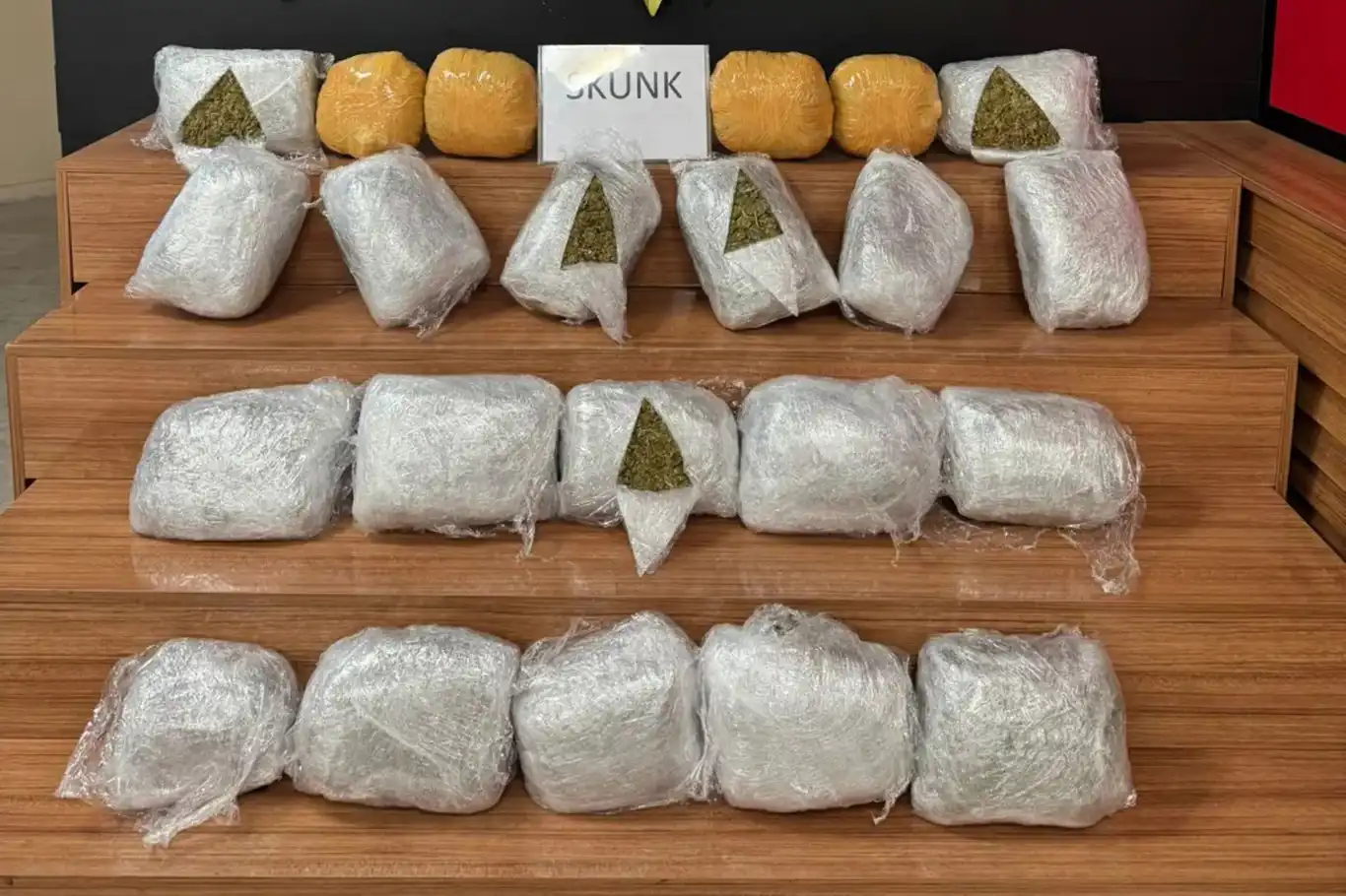 Şanlıurfa’da 25 kilogram skunk ele geçirildi: 2 gözaltı Şanlıurfa’da 25 kilogram skunk ele geçirildi: 2 gözaltı