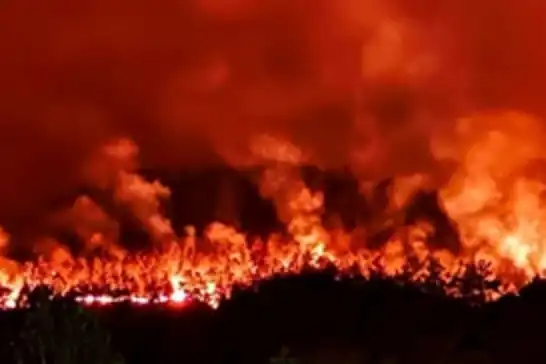 3 ildeki 4 orman yangını devam ediyor