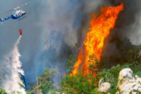Türkiye’s wildfire crisis deepens with four new deaths near Bursa