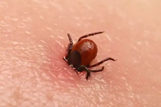 Sivas’ta KKKA şüphesiyle bir kişi daha hayatını kaybetti