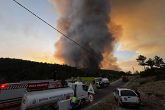 Four detained over suspected firework-linked forest fire as Türkiye battles blazes
