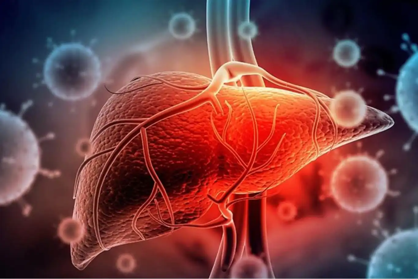 Hepatite kalkan: Aşı, temizlik, doğru bilgi Hepatite kalkan: Aşı, temizlik, doğru bilgi