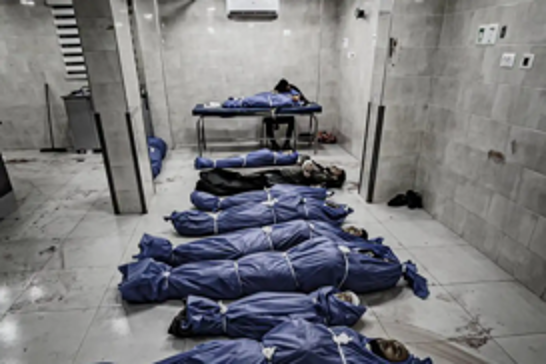 Genocide in Gaza: 23 civilians killed in Israeli attacks on shelters