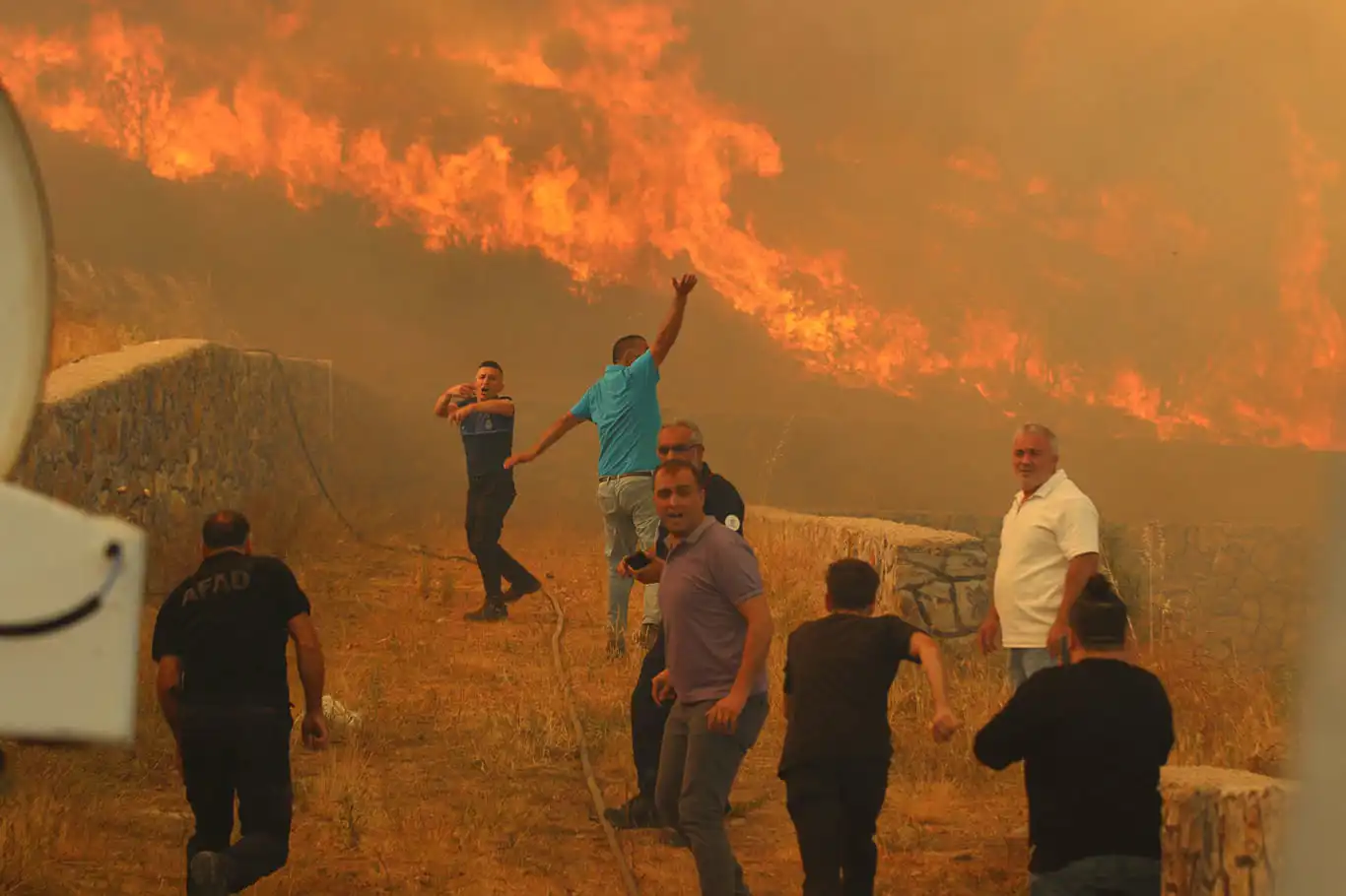 Wildfires torch farmlands, forests in western Türkiye 