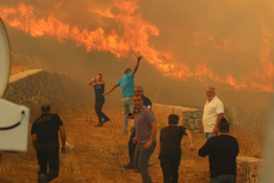 Wildfires torch farmlands, forests in western Türkiye 
