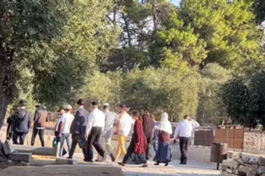 Siyonist Yahudiler Mescid-i Aksa'yı bir kez daha hedef aldı