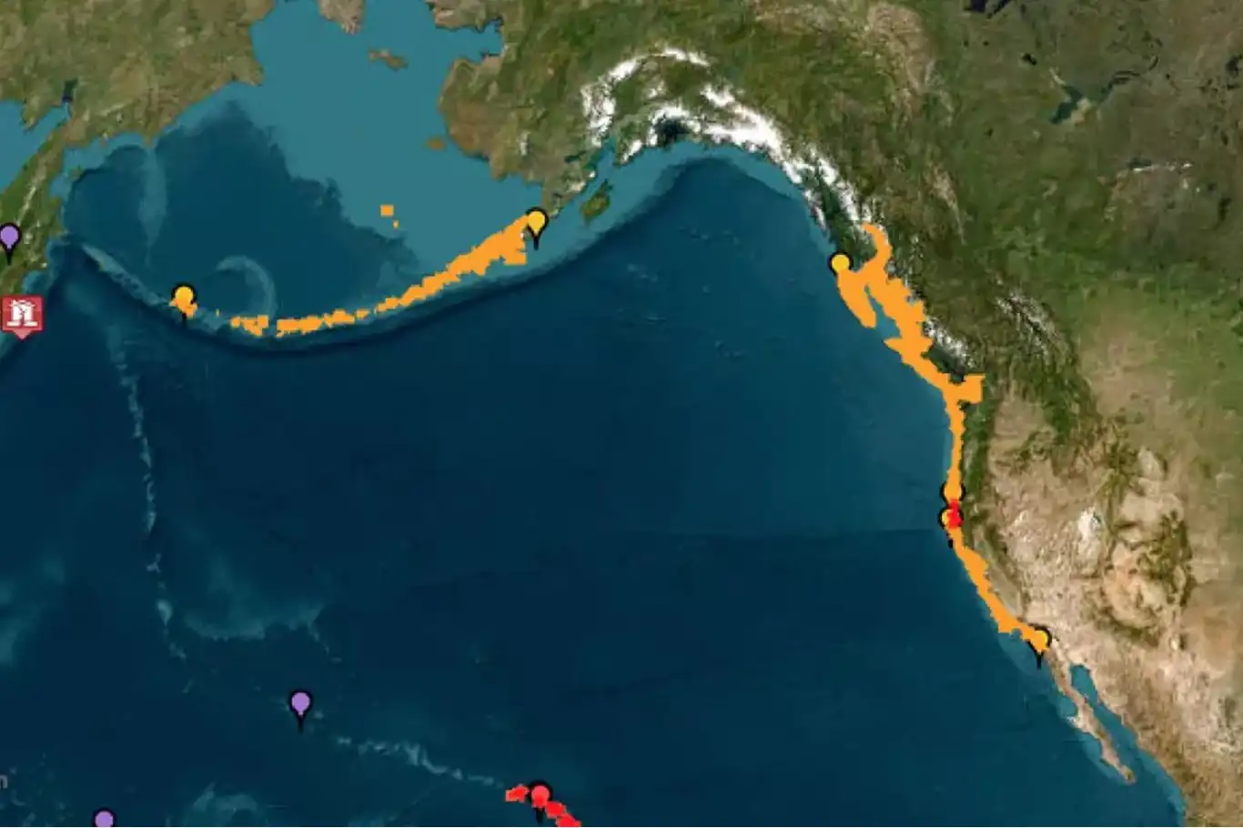 Tsunami Kaliforniya kıyılarına ulaştı Tsunami Kaliforniya kıyılarına ulaştı