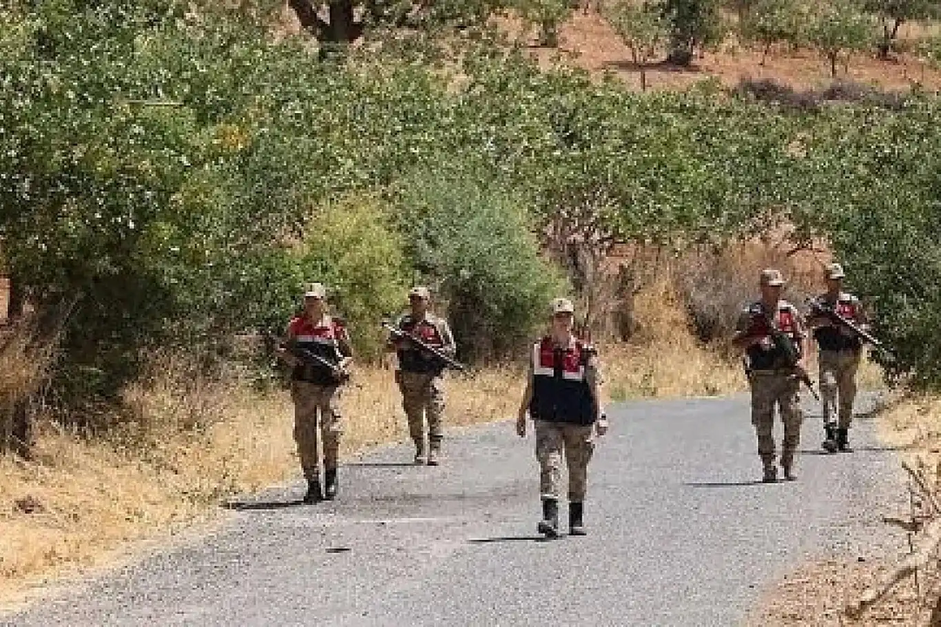 Siirt'te fıstık hırsızlıklarına karşı jandarma alarmda: Gece gündüz devriye ve sıkı denetim
