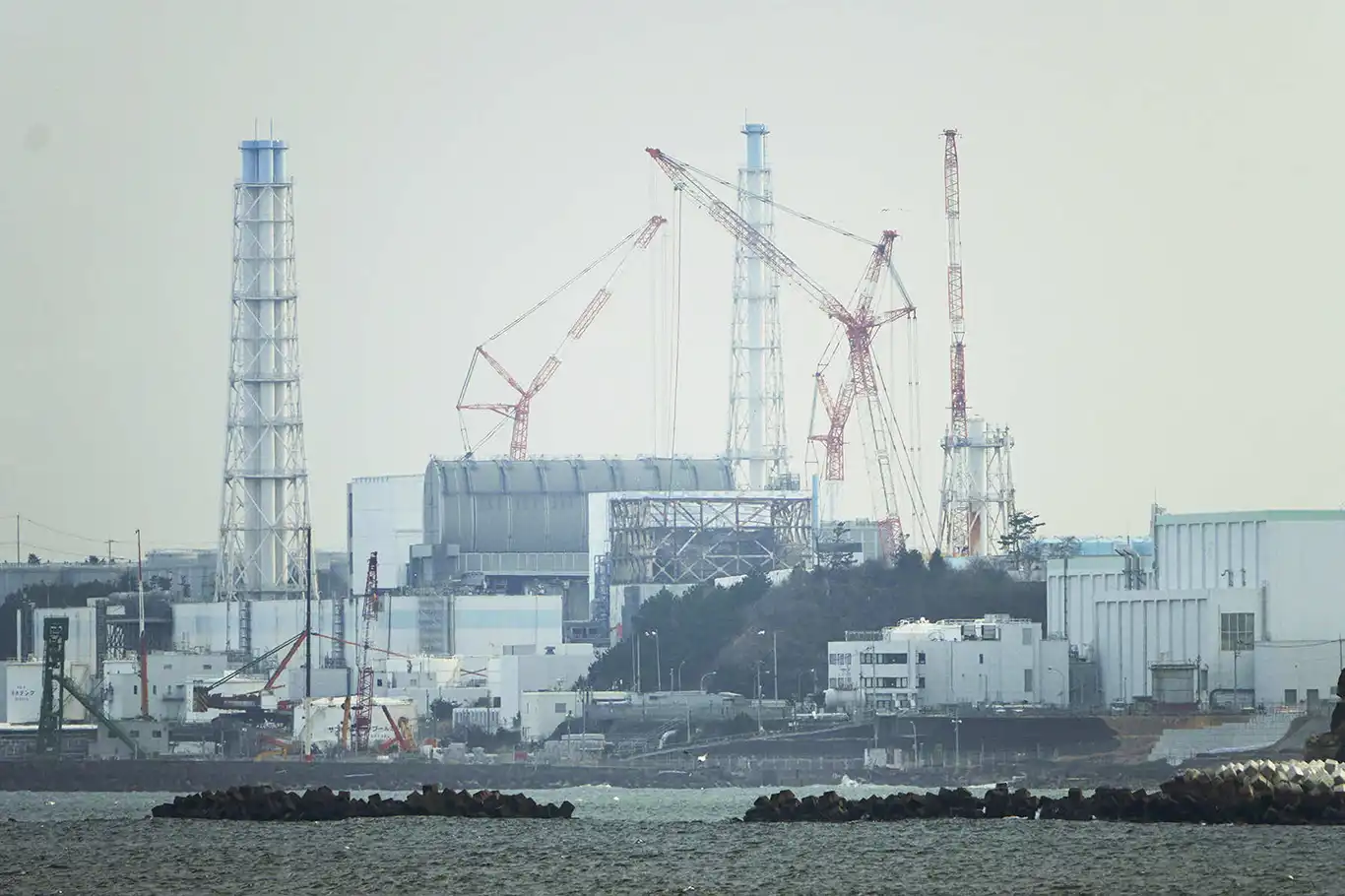 Japonya'da Fukuşima Nükleer Santrali tahliye edildi