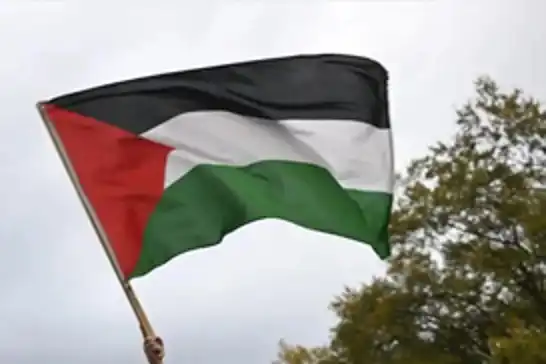 البرتغال تعلن عزمها الاعتراف بدولة فلسطين في أيلول المقبل