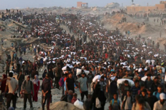 Hamas consults Palestinian factions on Gaza ceasefire proposal
