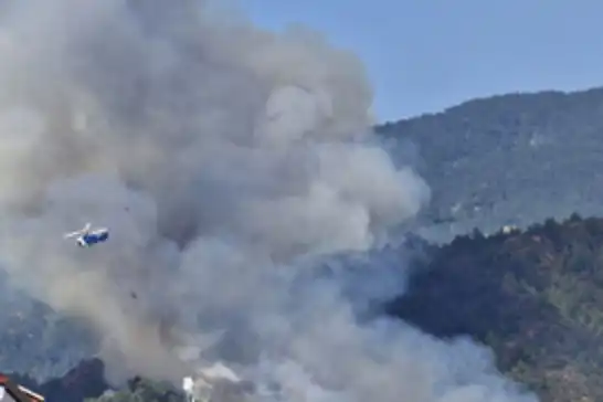 Muğla'da orman yangını 