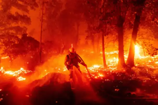 California alevlere teslim: 52 bin dönüm küle döndü