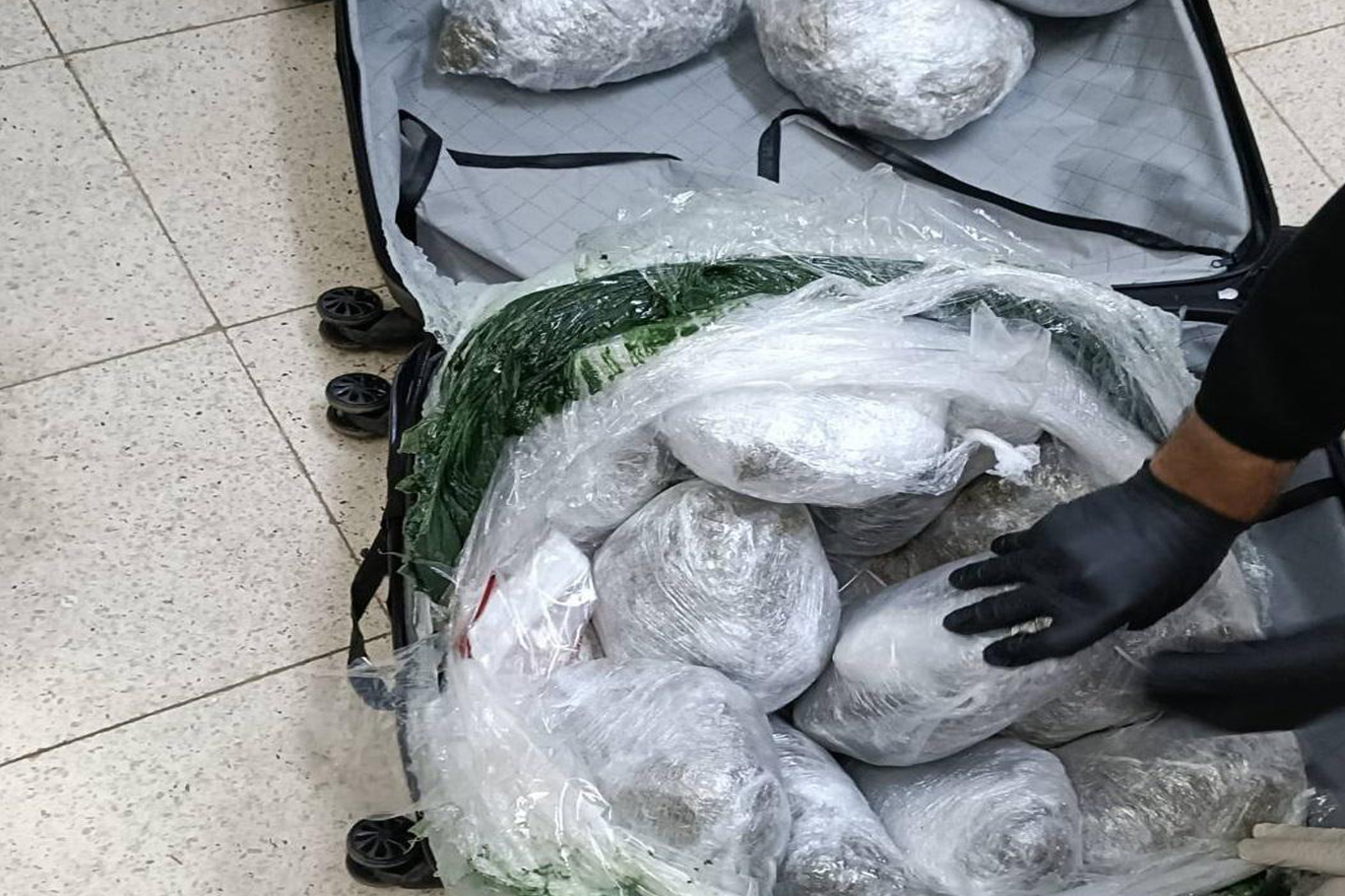 Bingöl'de 49 kilo 600 gram kubar esrar ele geçirildi Bingöl'de 49 kilo 600 gram kubar esrar ele geçirildi