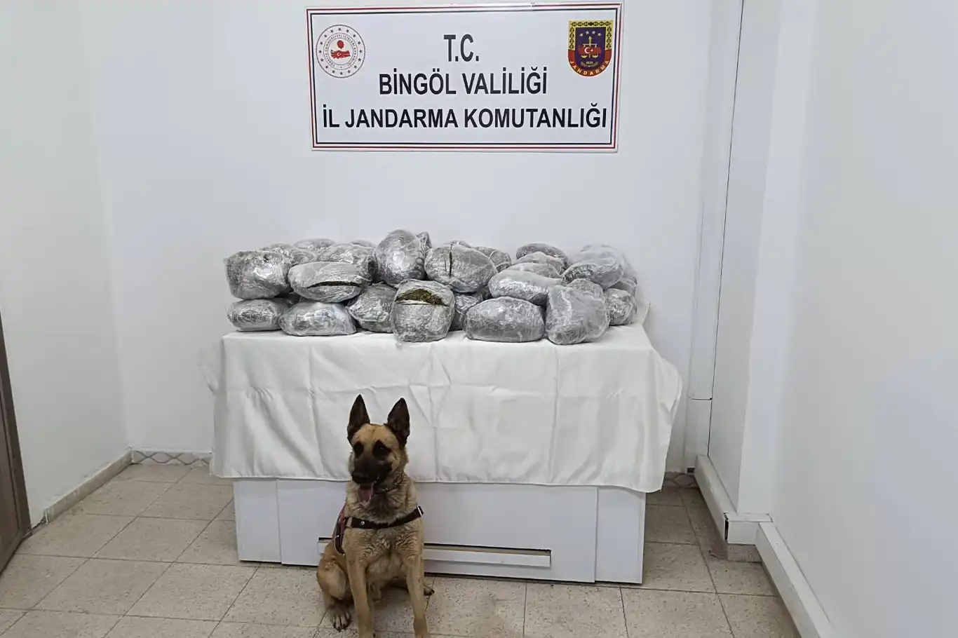 Bingöl'de 49 kilo 600 gram kubar esrar ele geçirildi Bingöl'de 49 kilo 600 gram kubar esrar ele geçirildi