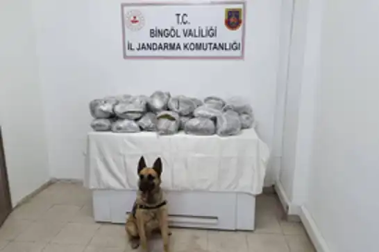 Bingöl'de 49 kilo 600 gram kubar esrar ele geçirildi