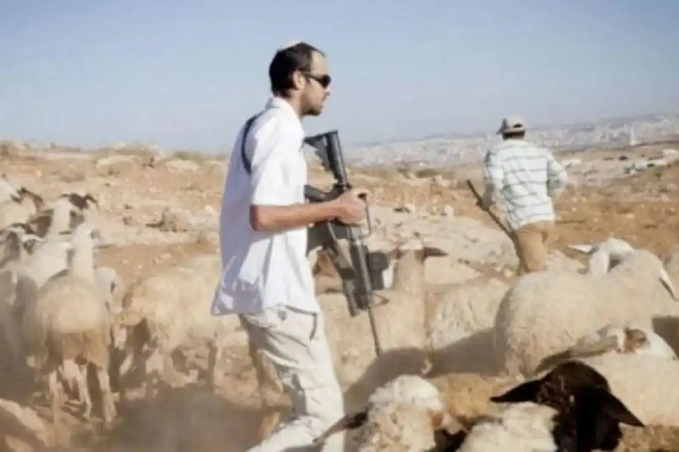 عصابات يهودية تهاجم أراضي الفلسطينيين في الضفة الغربية عصابات يهودية تهاجم أراضي الفلسطينيين في الضفة الغربية