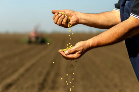 Türkiye’s agricultural output hits record $74 billion in 2024