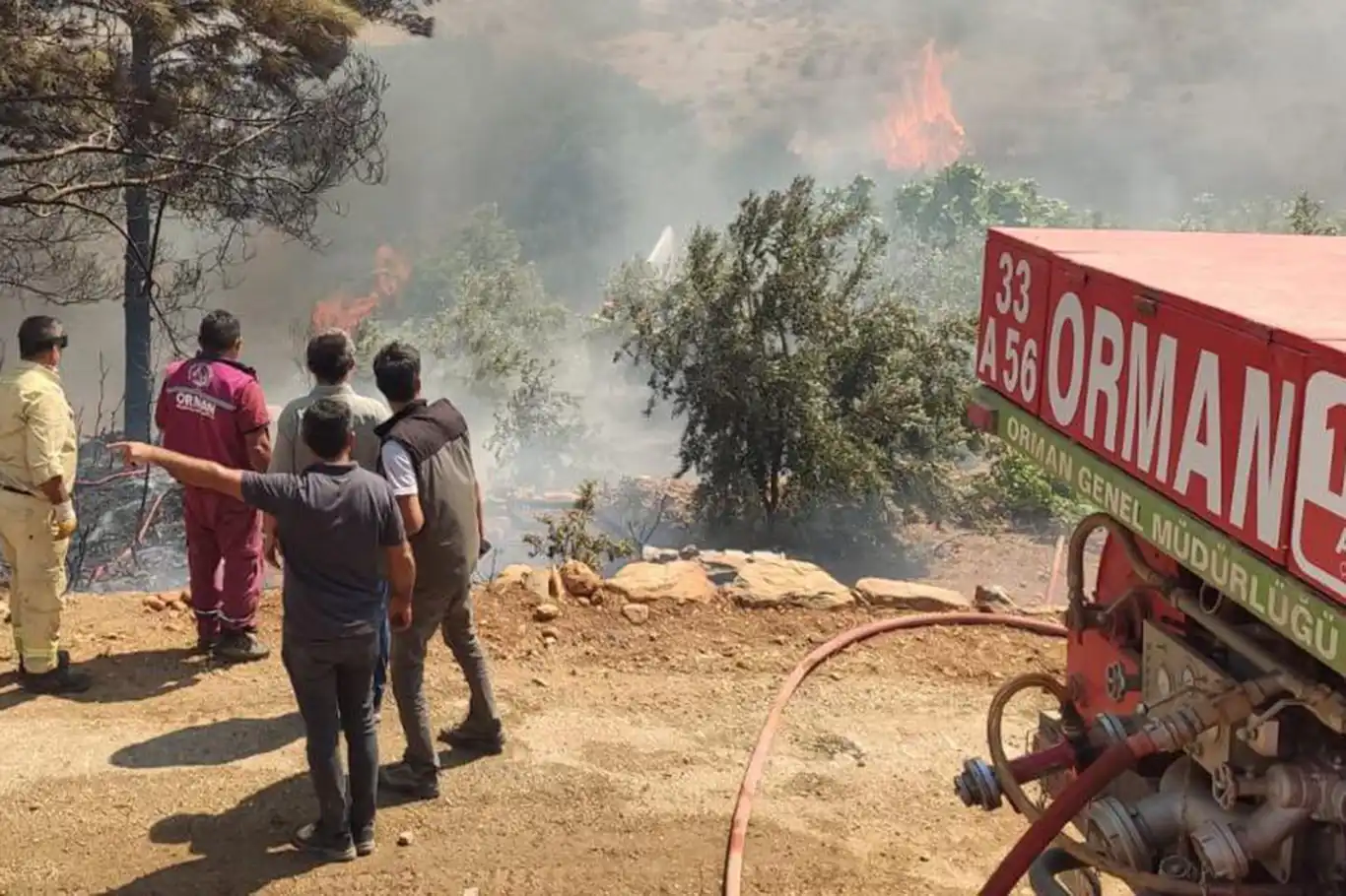 Bolu'da orman yangını Bolu'da orman yangını