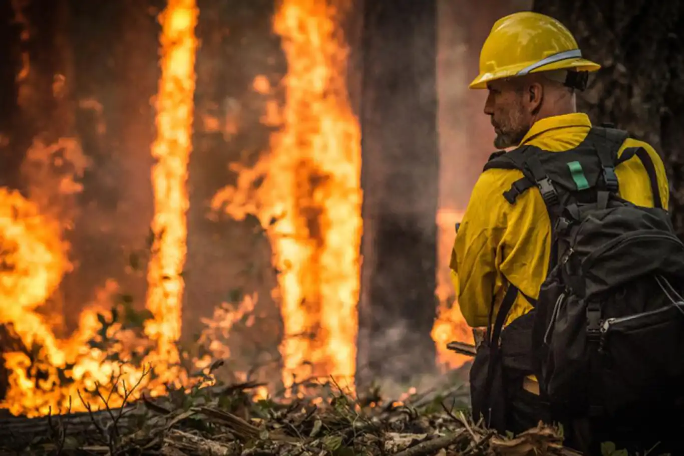 Germany faces raging forest fires despite temperature drop Germany faces raging forest fires despite temperature drop