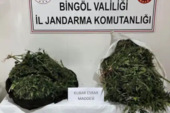 Bingöl'de17 kilogram esrar ele geçirildi: 4 gözaltı