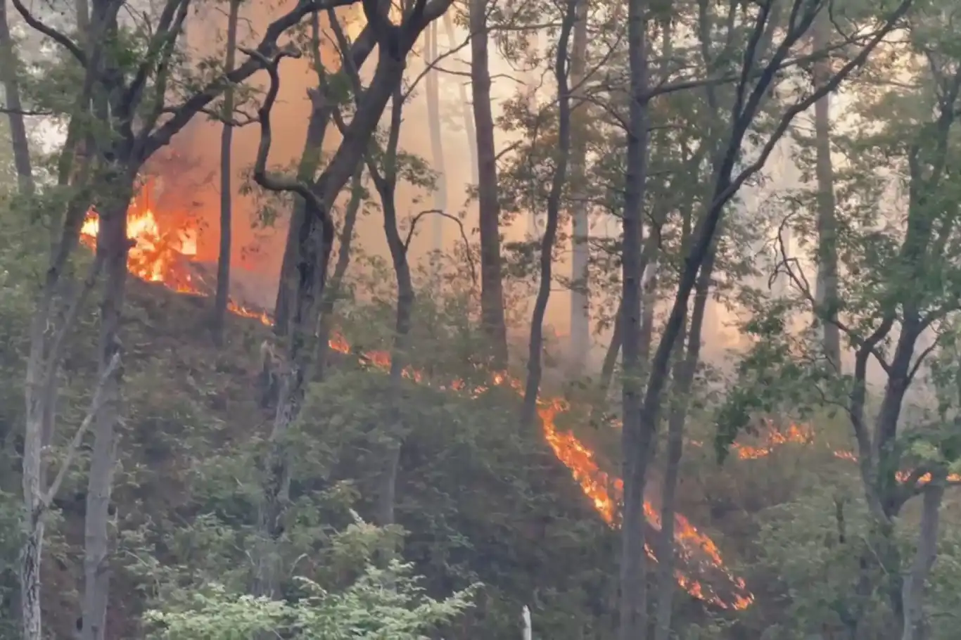 Massive wildfires ravage northwestern Syria for sixth consecutive day Massive wildfires ravage northwestern Syria for sixth consecutive day