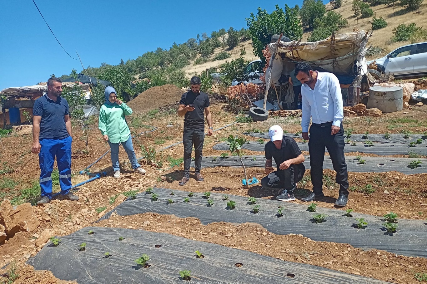Siirt’te bitkisel üretim alanlarında hastalık ve zararlı takibi sürüyor Siirt’te bitkisel üretim alanlarında hastalık ve zararlı takibi sürüyor