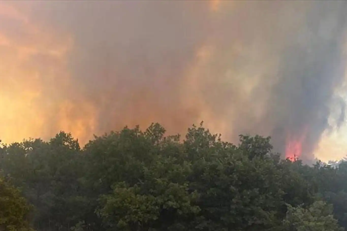 Bursa'da orman yangını Bursa'da orman yangını